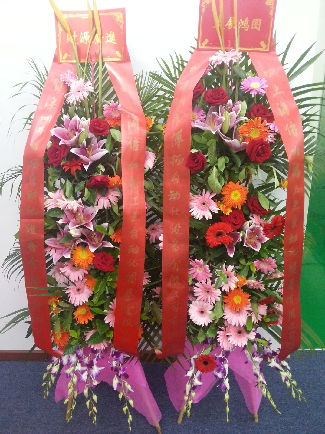 上海倍加福 上海倍加福