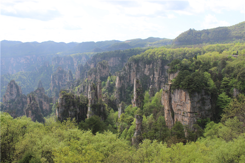 IMG_4028.jpg IMG_4028.jpg